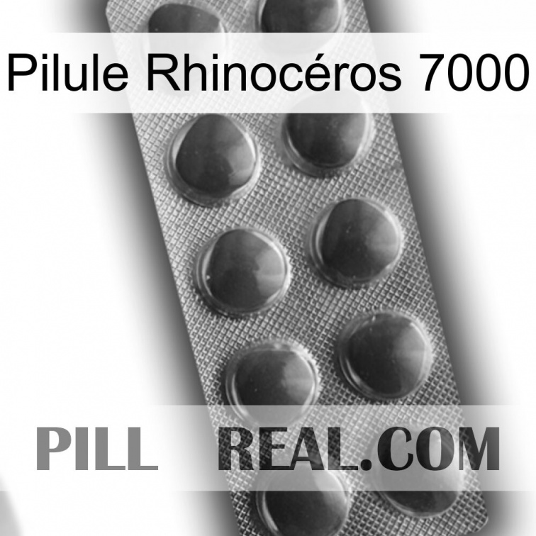 Pilule Rhinocéros 7000 30